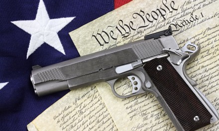 Gun Confiscation Via “Red Flag Law” Resolution