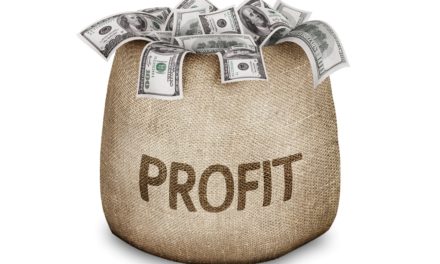 Politics for Profit